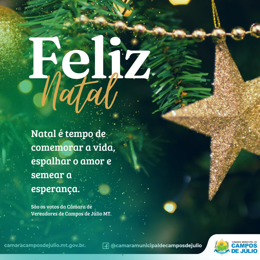 Feliz Natal e próspero Ano Novo! - Diretoria de Gestão de